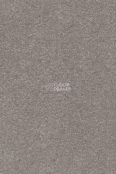 Ковролин AW Promenade 93 фото 1 | FLOORDEALER